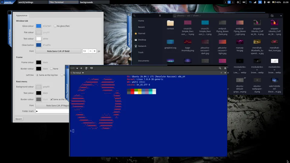 wm2tj Settings window with gloss colour, frame and root menu options